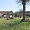 t_cistilna_45.jpg