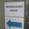 z_kri_17.jpg