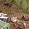 senovo_06.jpg