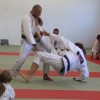 _mirkovic___sirolas___8262_jkk_bjj1_mirkovic14_foto_jukic.jpg