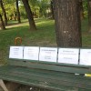 img_4746_extempore__33_.jpg