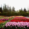 Arboretum Volčji potok.jpg