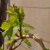 pohod_050__2_.jpg