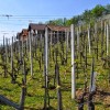 pohod_050__4_.jpg