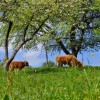 pohod_030__6_.jpg