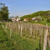pohod_060__13_.jpg