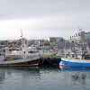 reykjavik, islandija, pristanišče.jpg