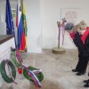 javorovica051.jpg