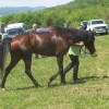 endurance_018.jpg