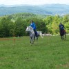 endurance_005.jpg