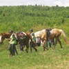 endurance_011.jpg