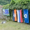 dsc_0036_nef.jpg