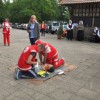 defibrilator_na_lisci012.jpg