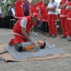 defibrilator_na_lisci010.jpg
