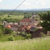 z_semic_07.jpg