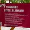 bitka z blazinami1.jpg