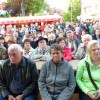 vigred2_2014.jpg