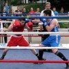 Boks, Daniel Babić, Edin Sejdinović.JPG