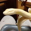 banana, kača.jpg
