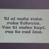ljubezen16.jpg