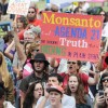monsanto demonstracije.jpg