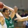drobnjak.jpg
