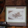img_5704_akademija__12_.jpg