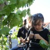 img_5761_vinograd__106_.jpg