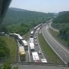 zastoj, trst.jpg