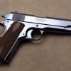 colt2.jpg
