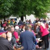 iz_trebanjskega_kosa_043.jpg