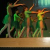 img_6665_10_1_000.jpg