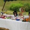 img_6498_19_1_000.jpg
