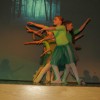 img_6667_12_1_000.jpg