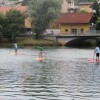 krka_zivi_10.jpg
