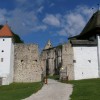 žička kartuzija