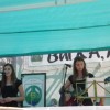 bucka_015.jpg