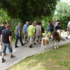 zagorje__37_.jpg