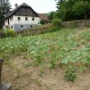 zagorje__25_.jpg