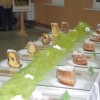 bucka_048.jpg