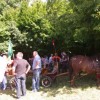 bucka_006.jpg