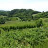 zagorje__56_.jpg