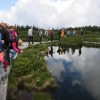 _lovrenska_j___2015_10__1_.jpg