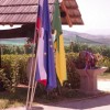 segonje_005.jpg
