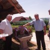 segonje_013.jpg