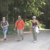 img_3058_splet.jpg