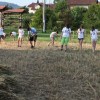 zetev_11.jpg
