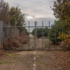 Woodbridge, gozd Rendlesham