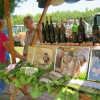 img_7775_17_1_000.jpg