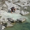 Turisti so opazili bel madež